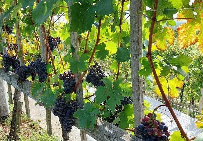 In - Kranjska Ferienhaus Otočec