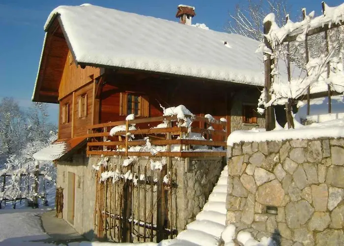In - Kranjska Ferienhaus *