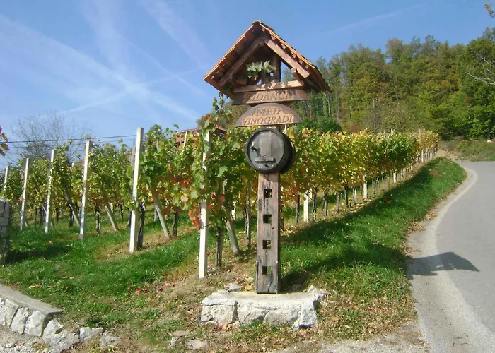 In - Kranjska Ferienhaus